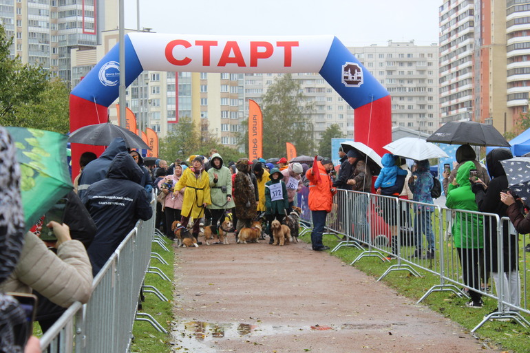 В Петербурге пройдет полумарафон «Северная столица» 22 сентября